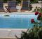 Swimming pool and red roses